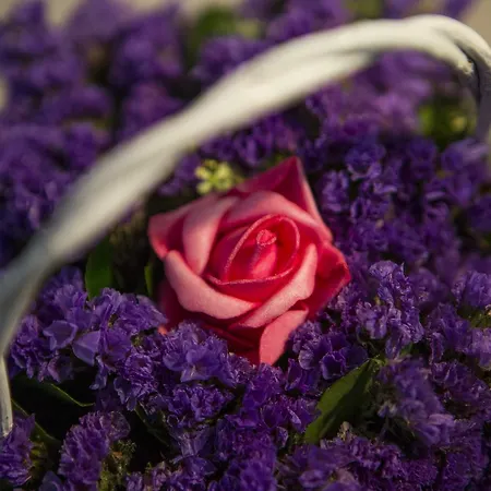 Boutique Melissa Hotel Porec