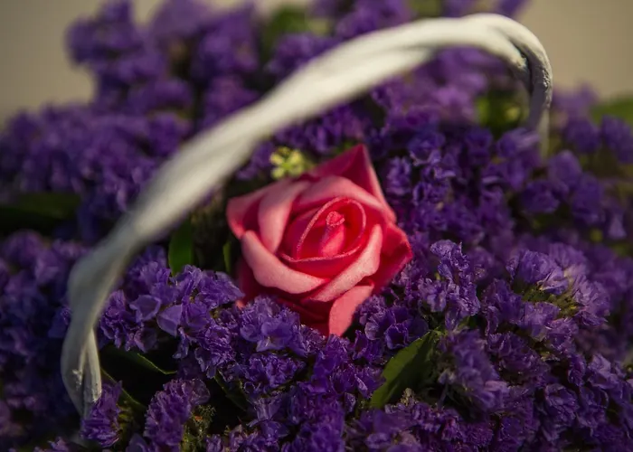 Boutique Melissa Ξενοδοχείο Πόρετς